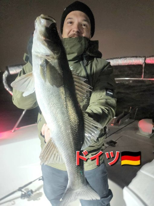 シーバス(スズキ)