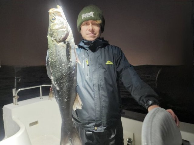 シーバス(スズキ)