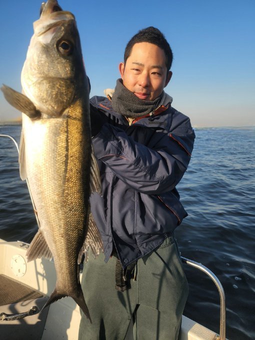 シーバス(スズキ)