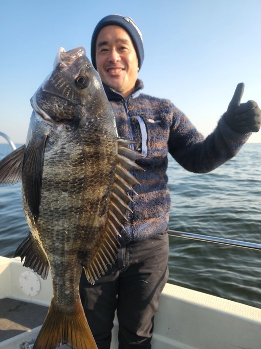 チヌ(クロダイ)