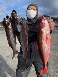 クロムツ・ハチビキ