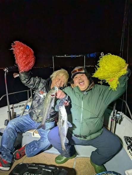 シーバス(スズキ)