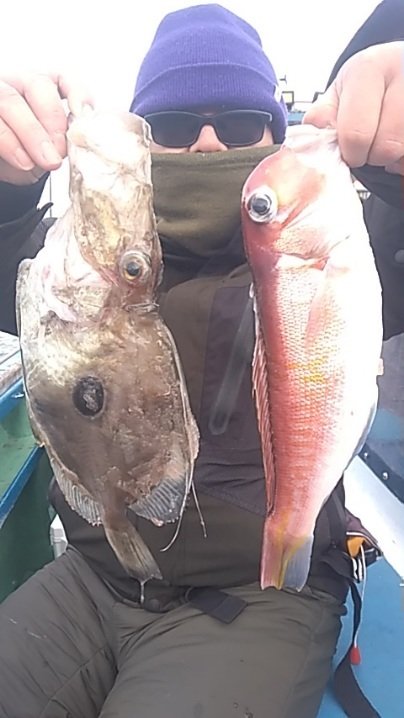 アマダイ(アカアマダイ)・マトウダイ