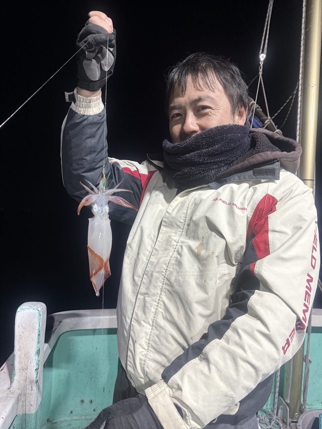 マルイカ(ケンサキイカ)