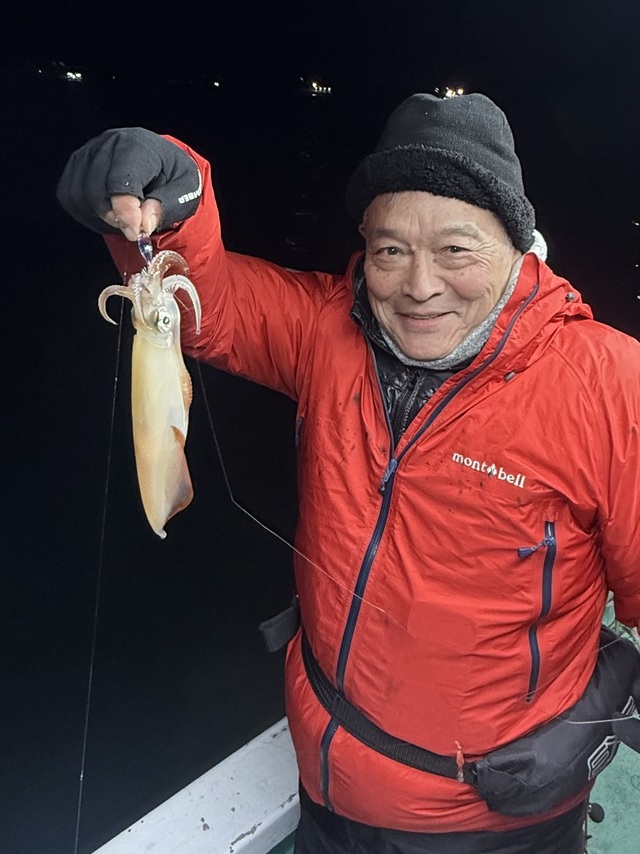 マルイカ(ケンサキイカ)