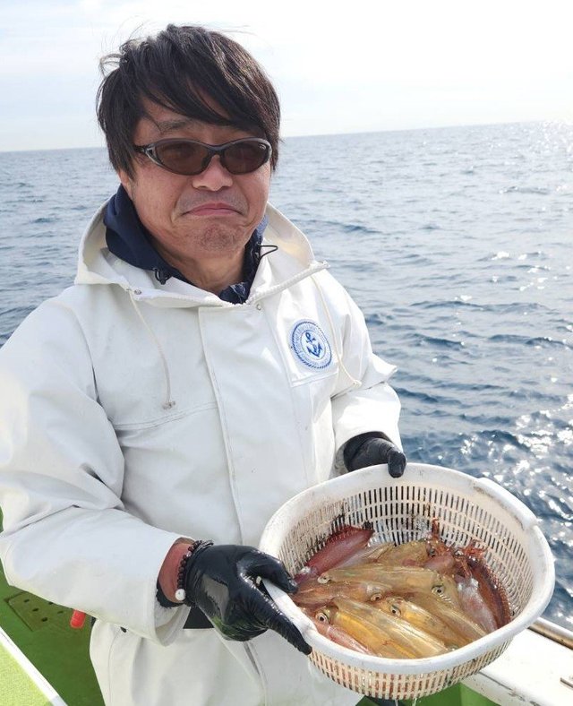 マルイカ(ケンサキイカ)