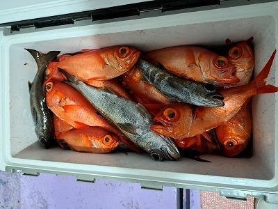 クロムツ・キンメ(キンメダイ)