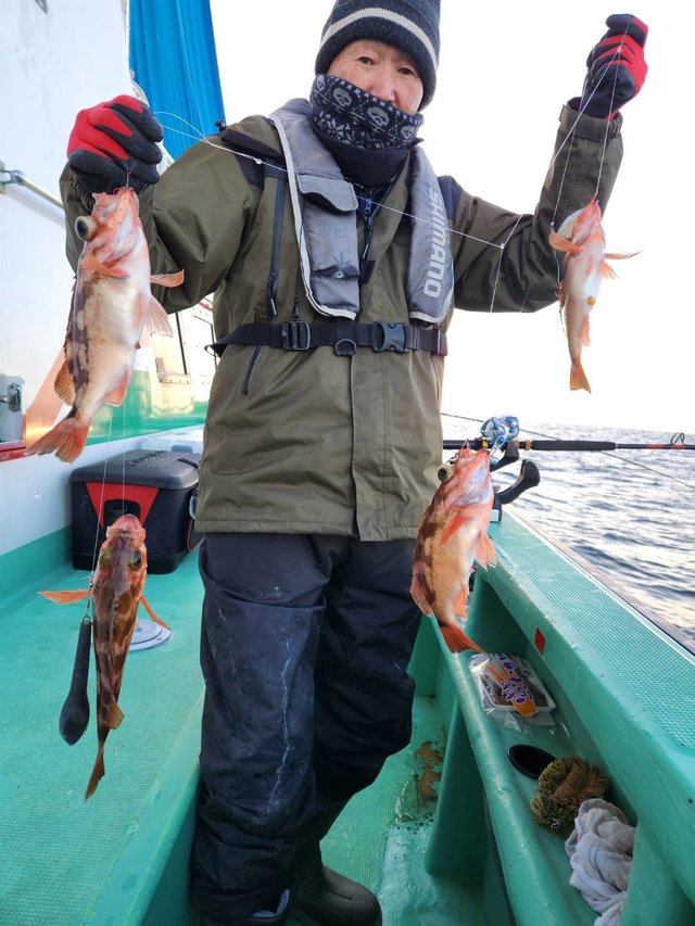 オキメバル(ウスメバル)