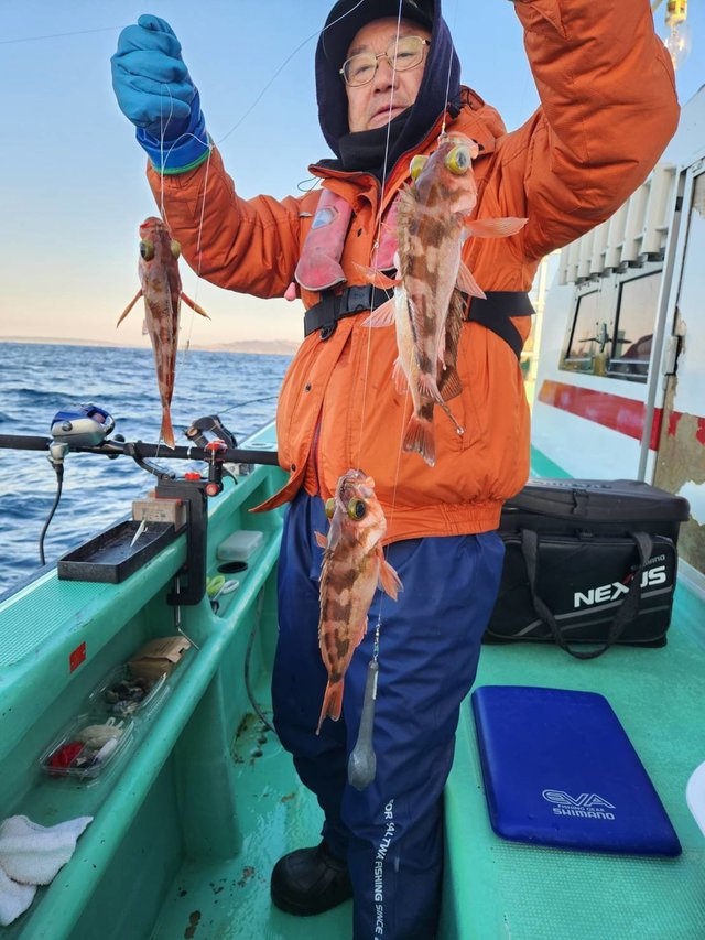 オキメバル(ウスメバル)