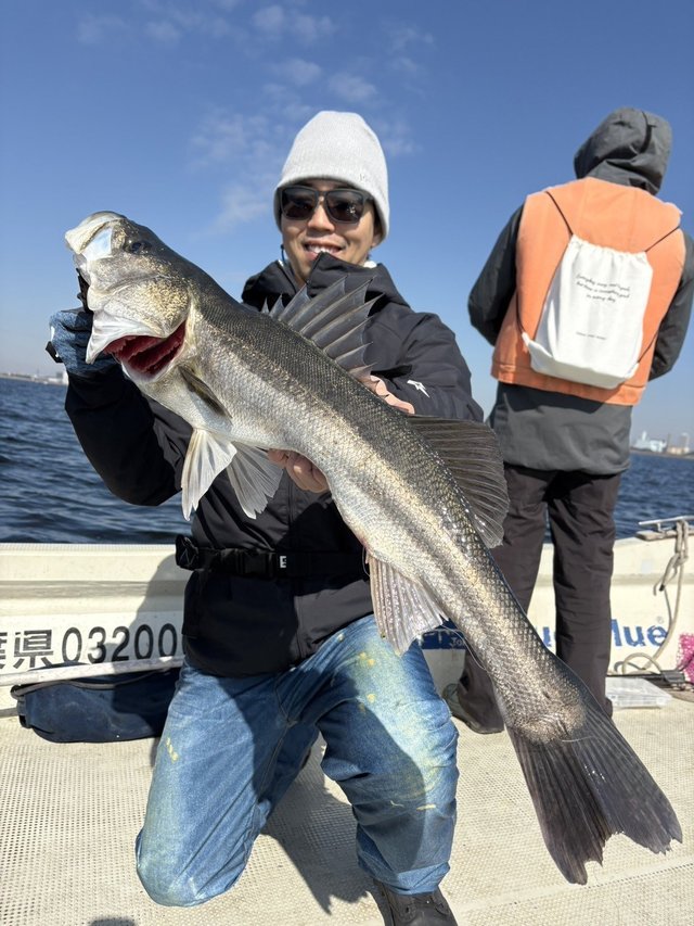 シーバス(スズキ)