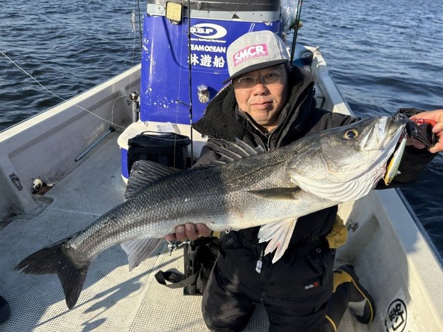 シーバス(スズキ)