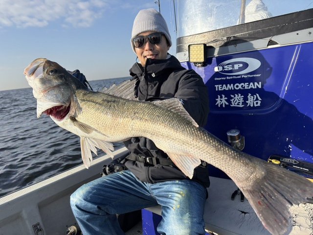 シーバス(スズキ)