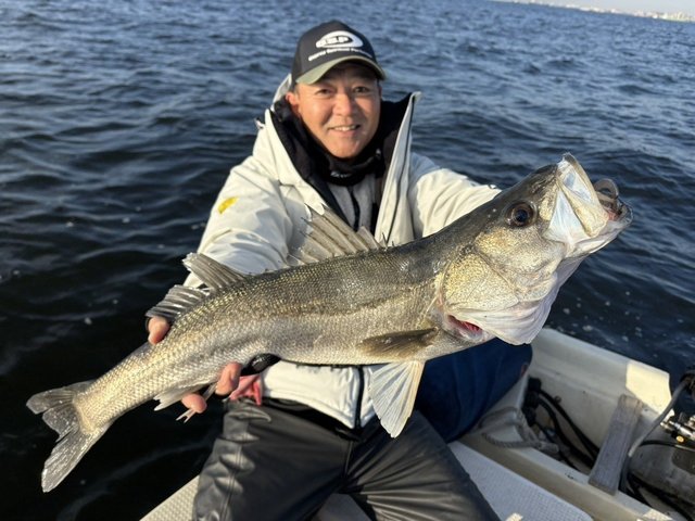 シーバス(スズキ)