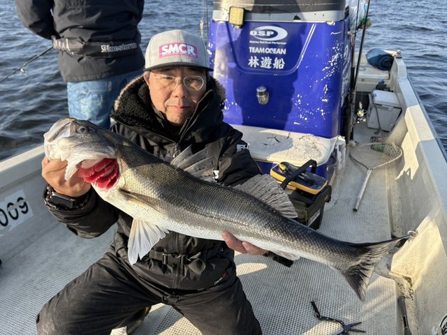 シーバス(スズキ)