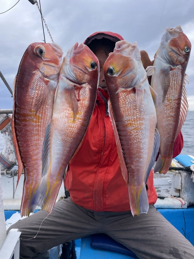 アマダイ(アカアマダイ)