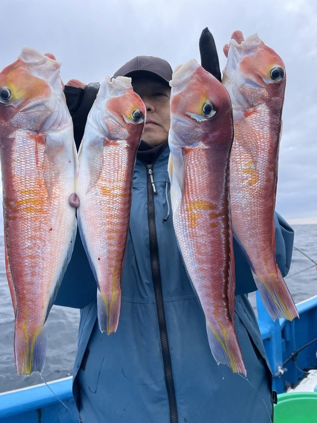 アマダイ(アカアマダイ)