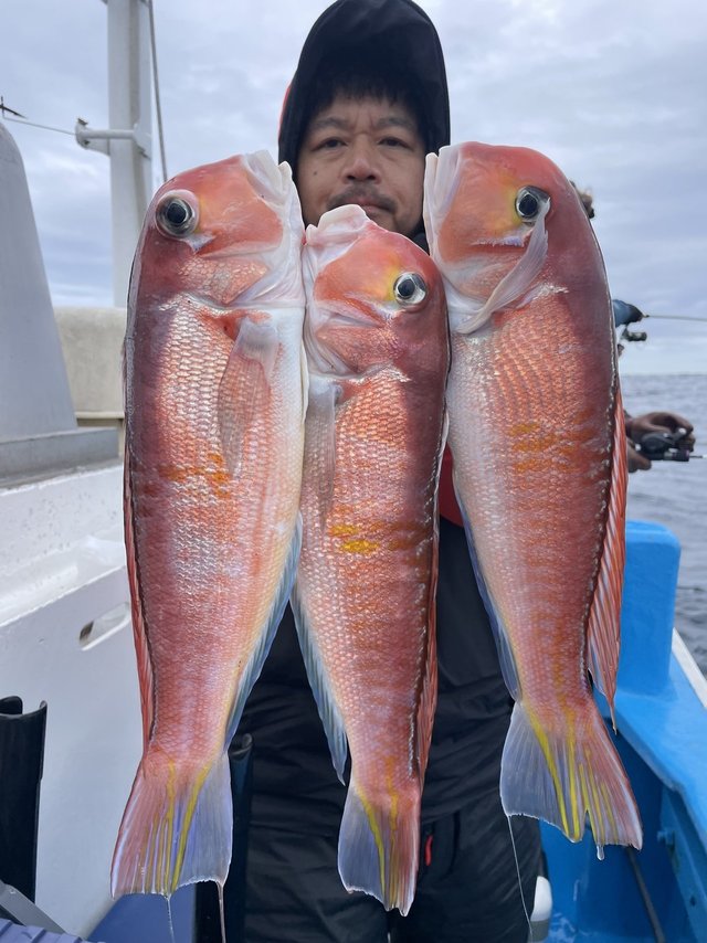 アマダイ(アカアマダイ)