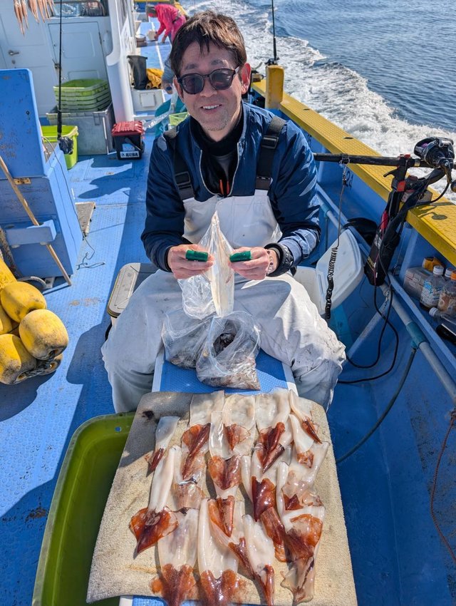 スルメ(スルメイカ)