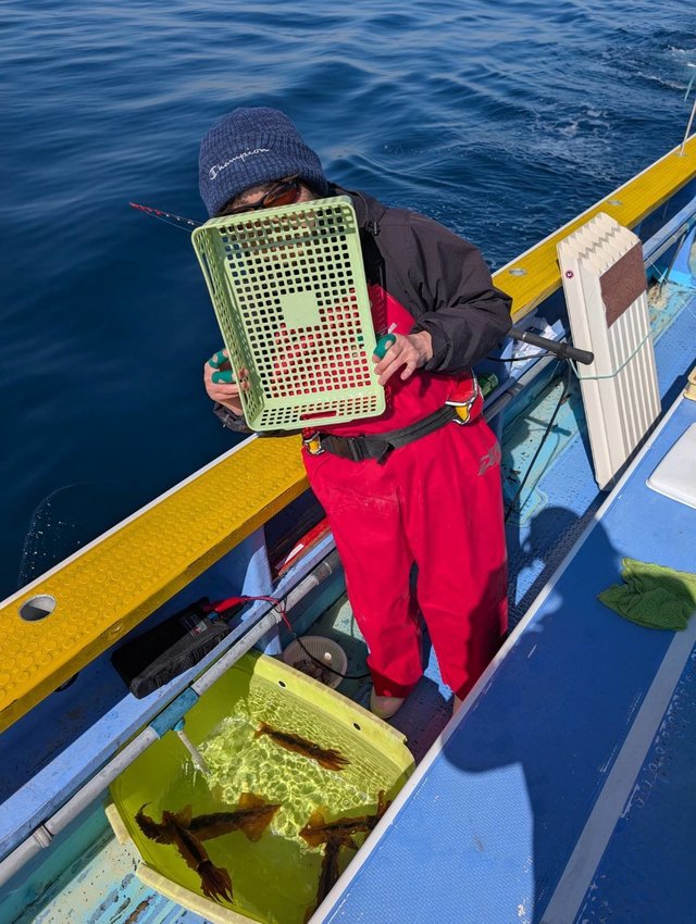 スルメ(スルメイカ)