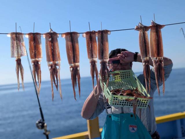 スルメ(スルメイカ)