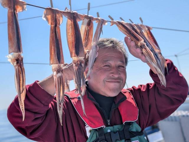 スルメ(スルメイカ)