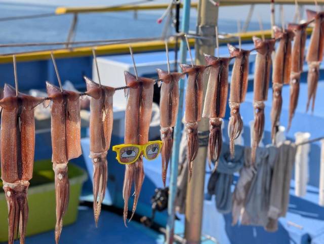 スルメ(スルメイカ)