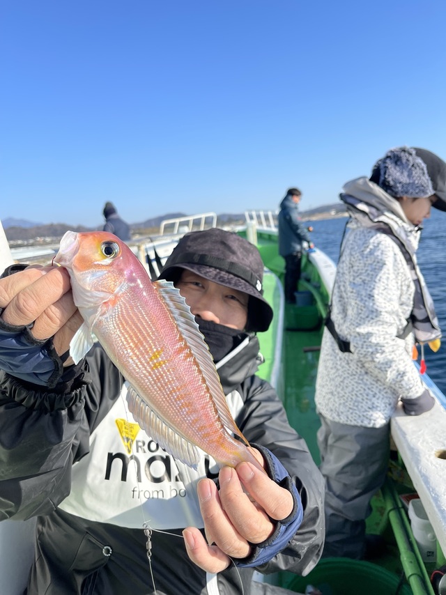 アマダイ(アカアマダイ)