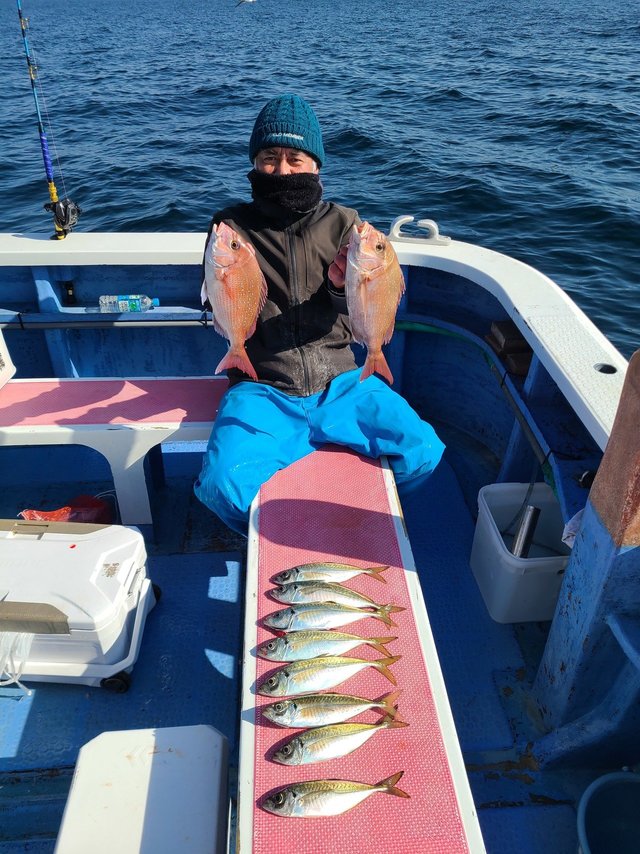 マダイ・マアジ