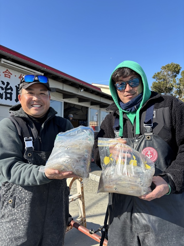 マルイカ(ケンサキイカ)