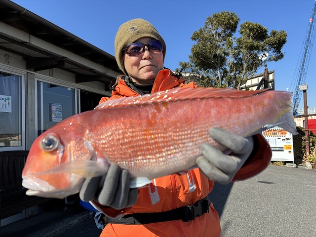 アマダイ(アカアマダイ)
