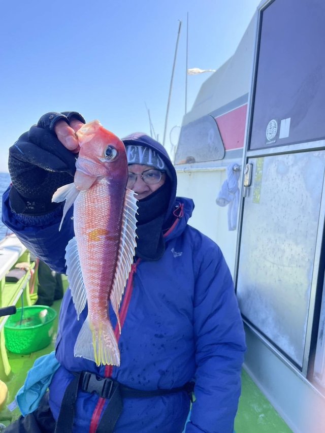 アマダイ(アカアマダイ)