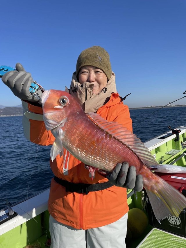 アマダイ(アカアマダイ)