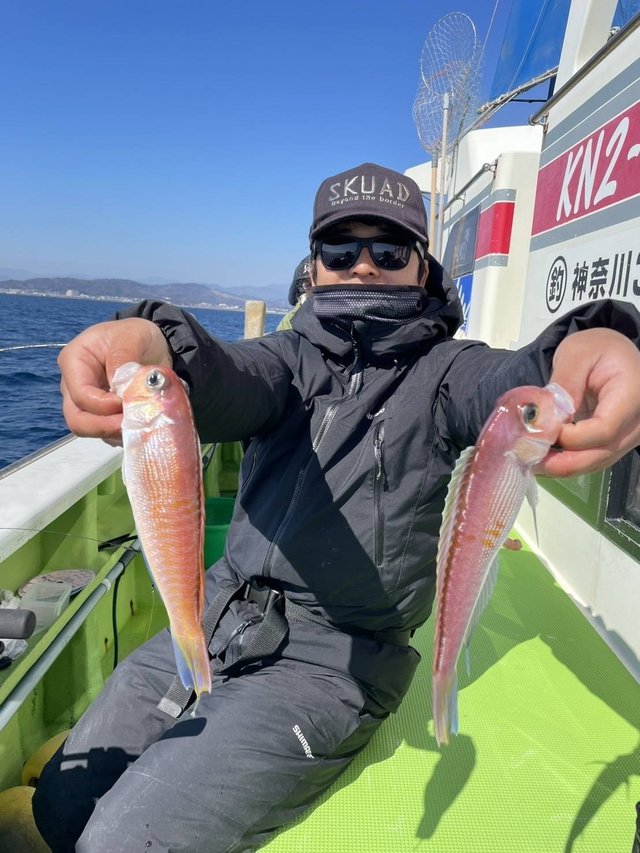 アマダイ(アカアマダイ)