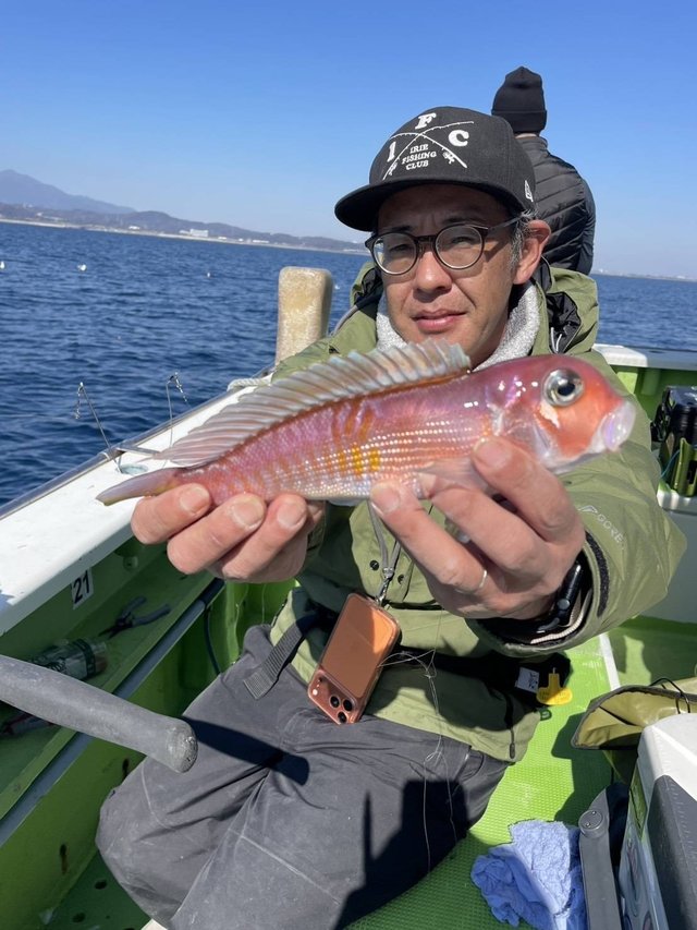 アマダイ(アカアマダイ)