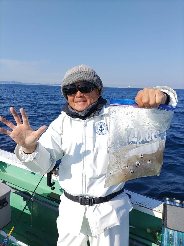 マルイカ(ケンサキイカ)