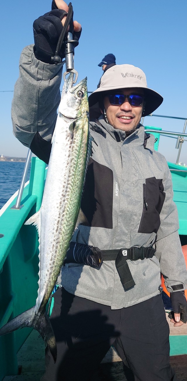 サゴシ(サワラ)