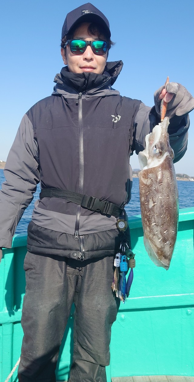 モンゴウイカ(カミナリイカ)