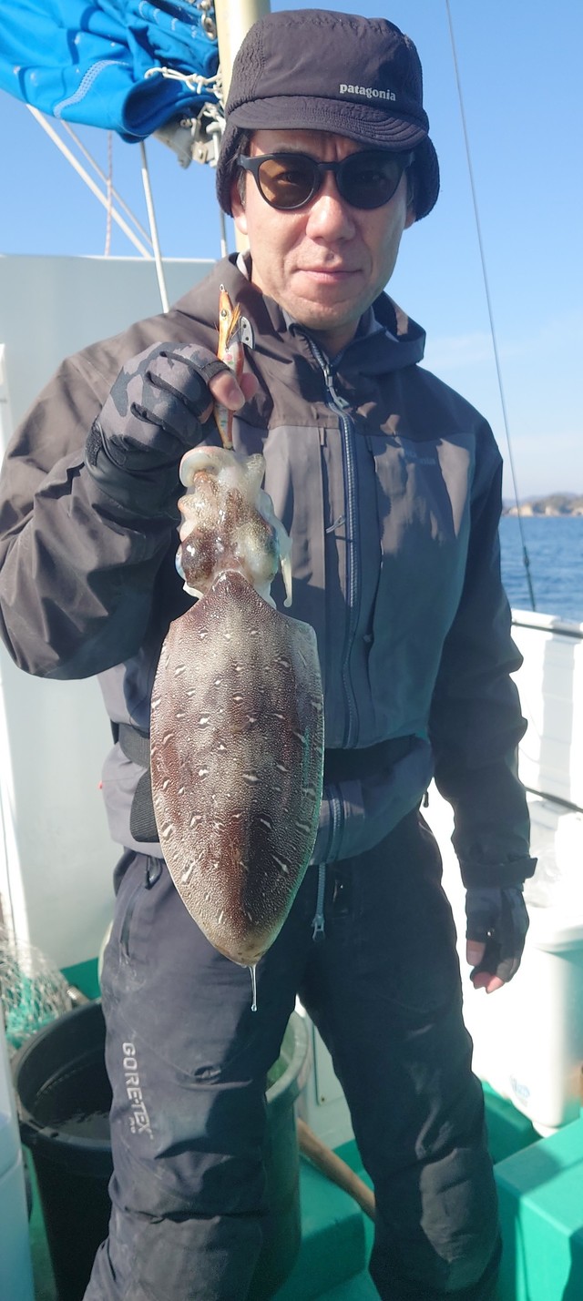 モンゴウイカ(カミナリイカ)