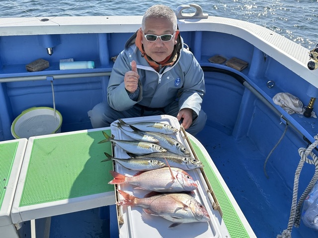 マダイ・マアジ