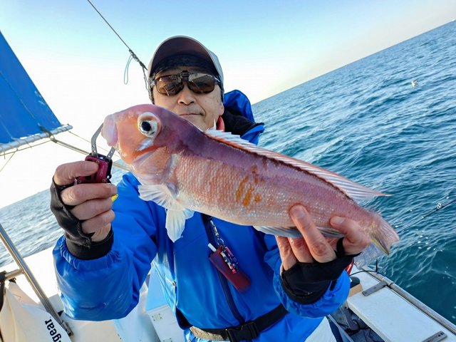 アマダイ(アカアマダイ)