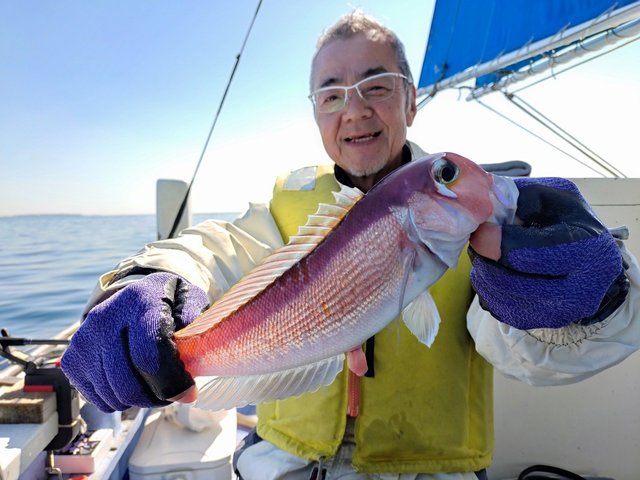 アマダイ(アカアマダイ)