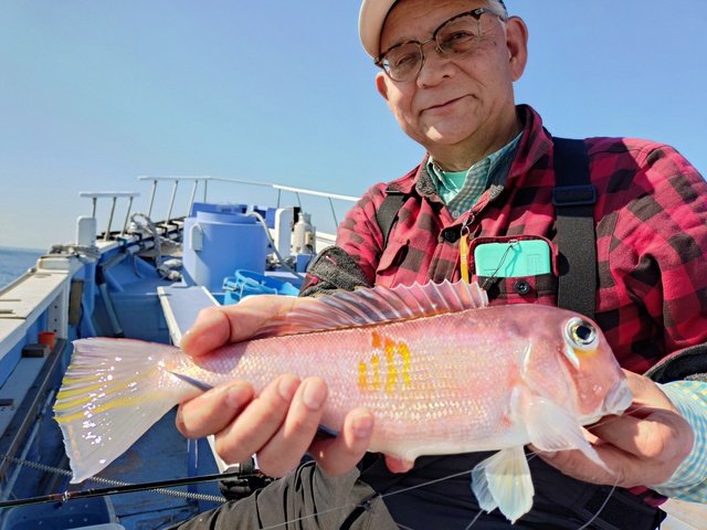 アマダイ(アカアマダイ)