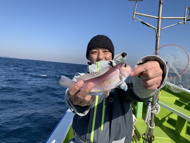 アマダイ(アカアマダイ)