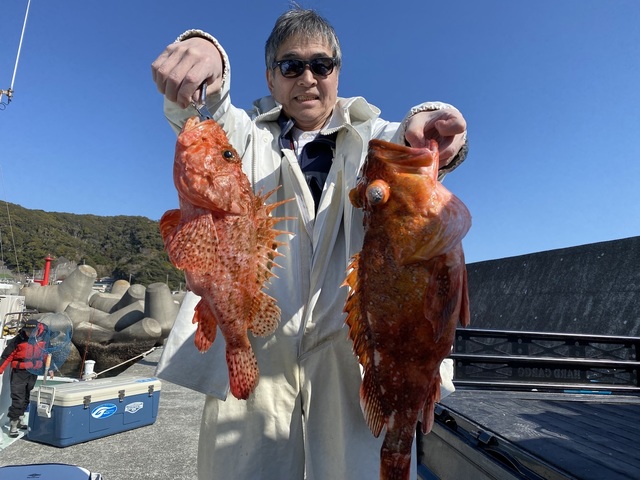 オニカサゴ・カンコ(ウッカリカサゴ)