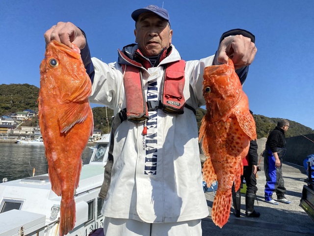 カンコ(ウッカリカサゴ)