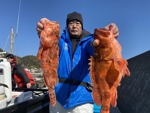 オニカサゴ・カンコ(ウッカリカサゴ)