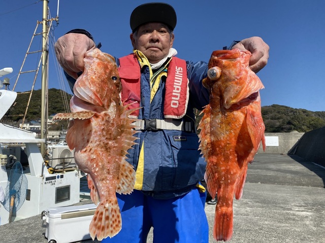 オニカサゴ・カンコ(ウッカリカサゴ)