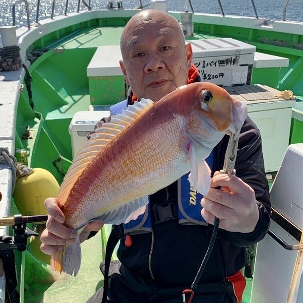 アマダイ(アカアマダイ)