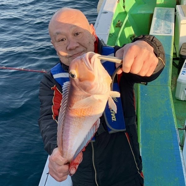 アマダイ(アカアマダイ)