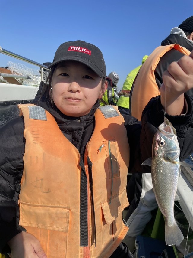 イシモチ(シログチ)